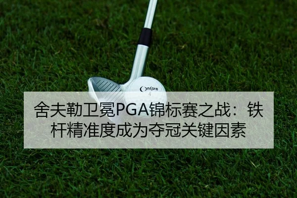 she-fu-lei-wei-mian-jin-biao-sai-zhi-zhan-tie-gan-jing-zhun-du-cheng-wei-duo-guan-guan-jian-yin-su-2-994.jpg